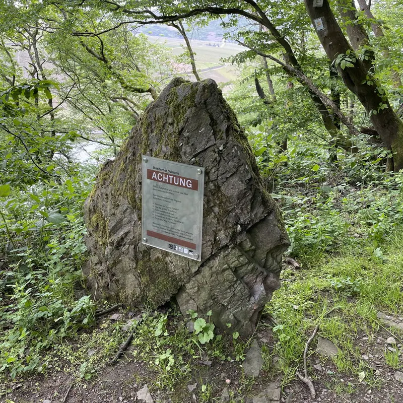Altlayer Schweiz