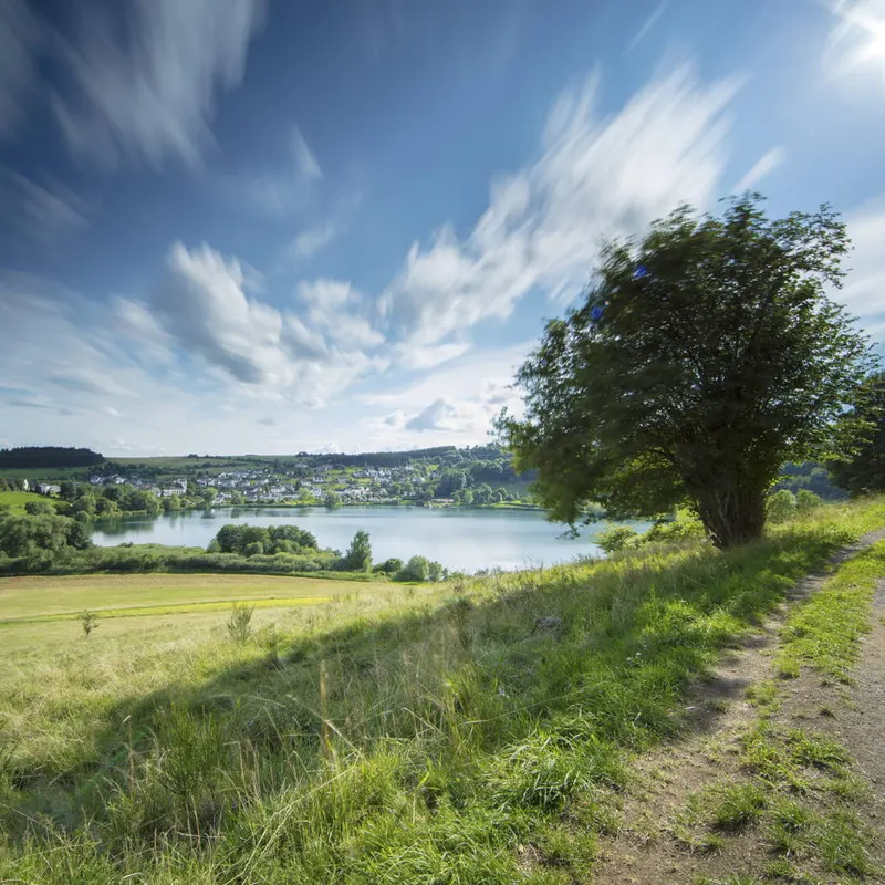 Hängeseilbrücke Geierlay