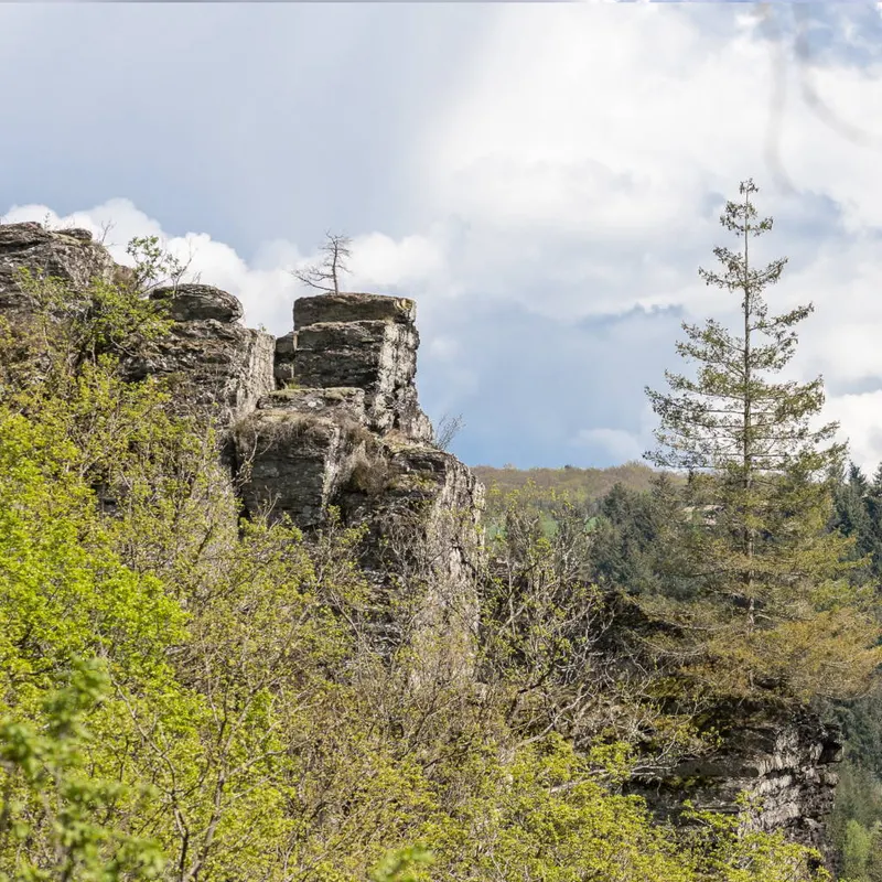 Wilde Endert mit Wasserfall